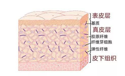 仟花佰草水光嫩肤原液 ,开启过年水嫩肌