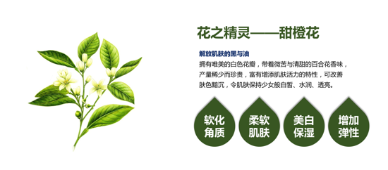有了仟花佰草新鲜水,拥有水光肌就是这么简单