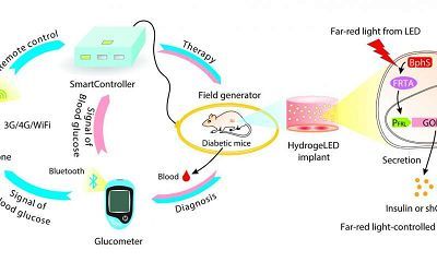 科学家如何用手机帮助我们诊治疾病?