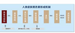 泰国vc水怎么代理，泰国vc水好用吗，主要成分是什么