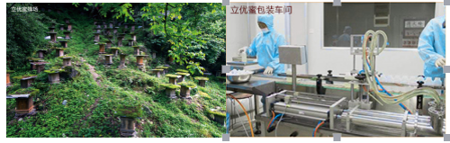 这才是便宜又好的天然保健品!