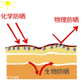 油性皮肤怎么防晒不油腻 轻松安稳过夏天