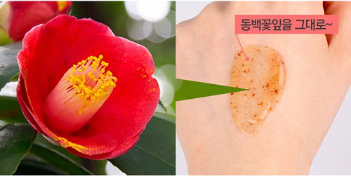 韩国SKINCURE ‘山茶花’——大自然的馈赠