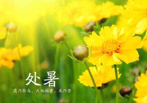 处暑钓鱼深水好还是浅水好 水深多少合适, 处暑钓鱼深水好还是浅水好 水深多少合适