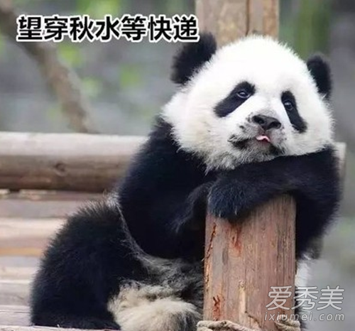 空手到是什么梗 00后大学生空手到是什么意思