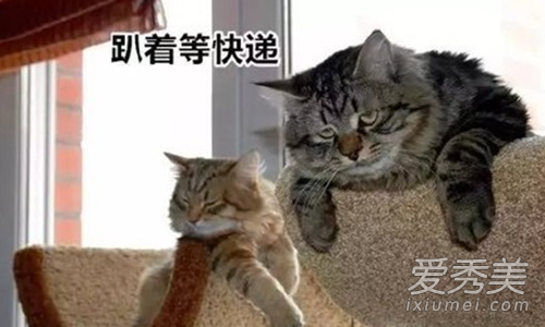 空手到是什么梗 00后大学生空手到是什么意思