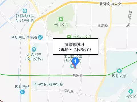 文艺攻略丨猫迹&逸塔,初秋深圳,还有什么比打卡艺术周更具情怀?