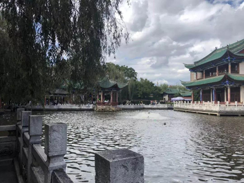 天津伊美尔张淑贤出席国际中胚层疗法高级技能培训班授课