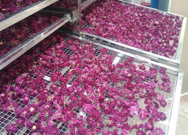 黄芪和“它”天作之合,女人时常喝一口,补血美容,50岁也不显老