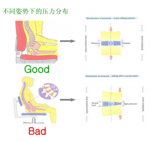 双十一如何挑选一把电脑椅？SIDIZ喜迪世为你支个招