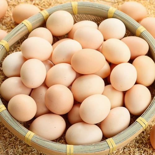 <b>鸡蛋减肥法，帮助远离脂肪肝</b>