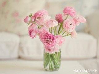 学会这些日常生活小妙招,把家里整的干净整洁舒服