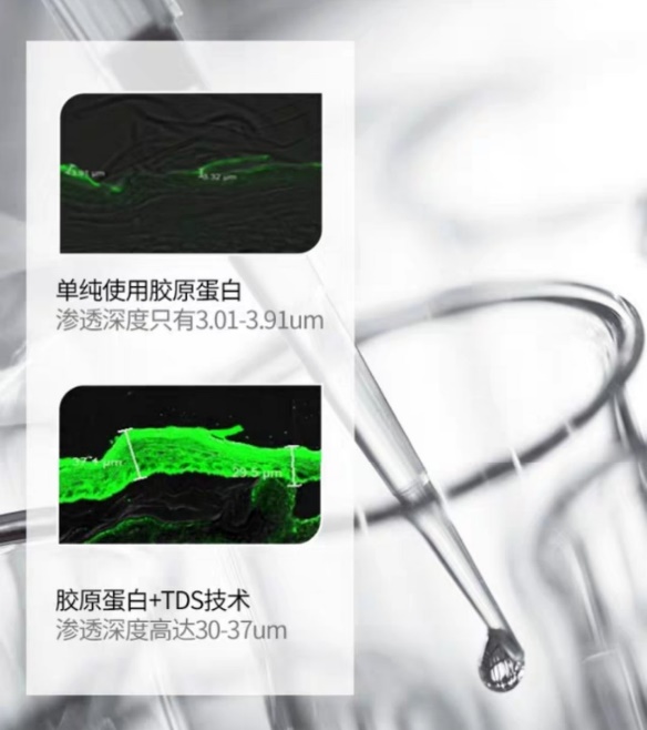 TDS技术是护肤黑科技?竟然能让肌肤10倍吸收胶原蛋白!