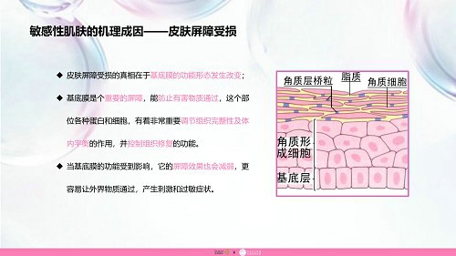 品域美创联合发布《敏感肌护肤品市场调研报告》