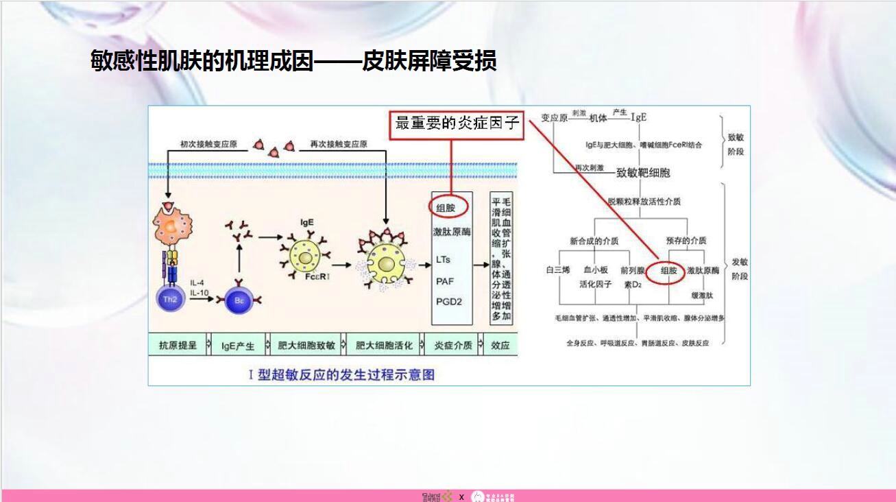 品域美创联合发布《敏感肌护肤品市场调研报告》