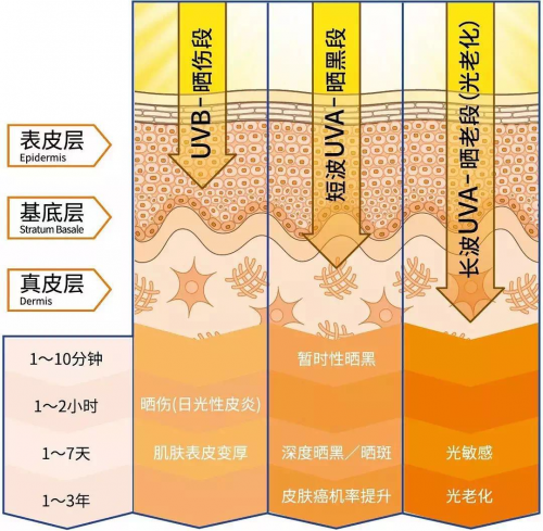 单月卖爆10万支！看高姿“小黄帽”如何“流量+销量”两手抓！