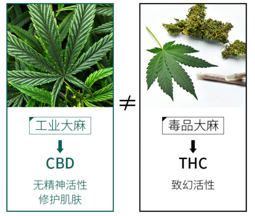 美妆品牌加快入局CBD市场，魔力肌源何以成为又一匹黑马